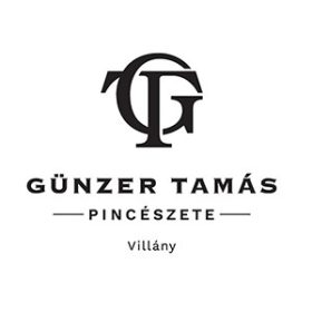 Günzer Tamás