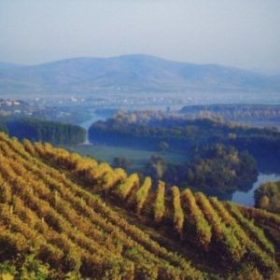 Tokaj