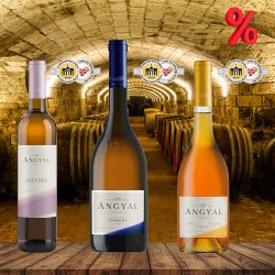 Díjnyertes Angyalok (Szépség, Üzenet, Szeretet)